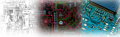 Thumbnail for version as of 02:12, 21 September 2025